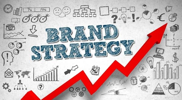 Brand Strategy & Guidelines: Define and Maintain Your Vision